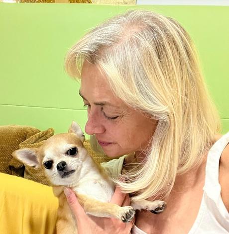 SAN ANTONIO ABAD Y LOS ANIMALES