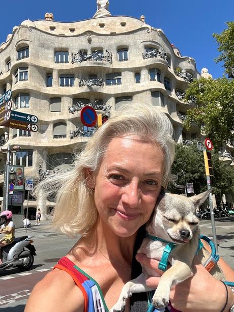 SAN ANTONIO ABAD Y LOS ANIMALES