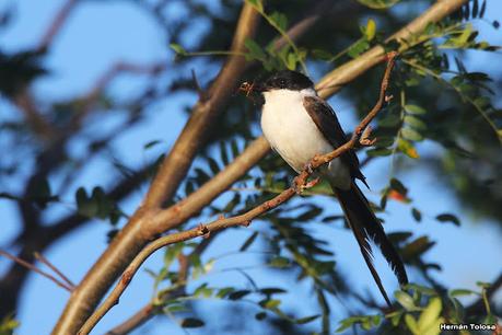 Primea salida de  2023