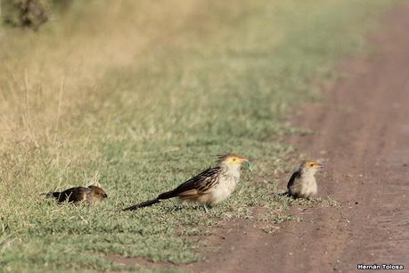 Primea salida de  2023
