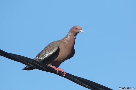 Primea salida de  2023