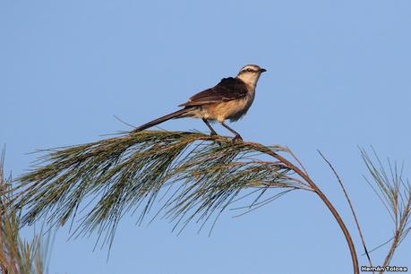 Primea salida de  2023