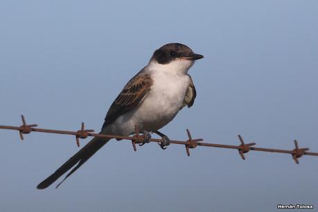 Primea salida de  2023