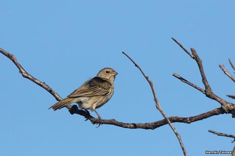 Primea salida de  2023