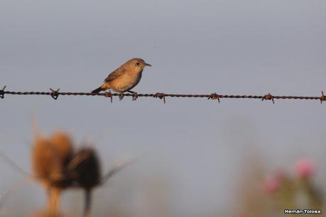 Primea salida de  2023