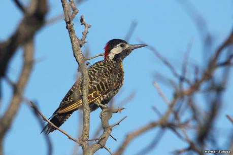 Primea salida de  2023