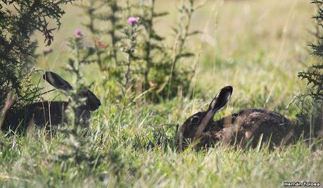 Primea salida de  2023