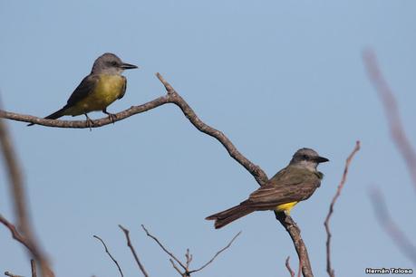 Primea salida de  2023