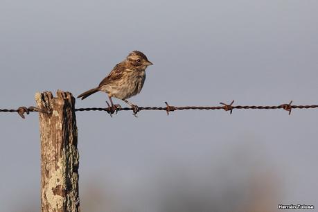 Primea salida de  2023