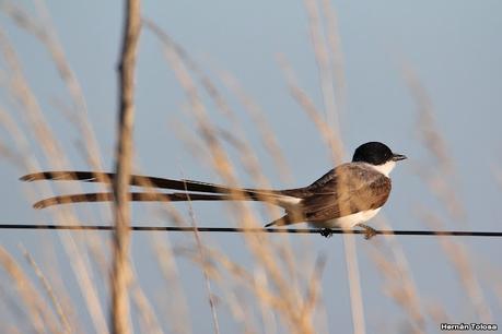 Primea salida de  2023