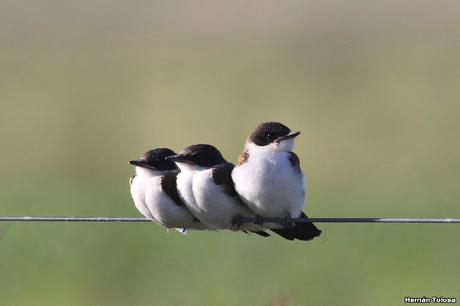 Primea salida de  2023