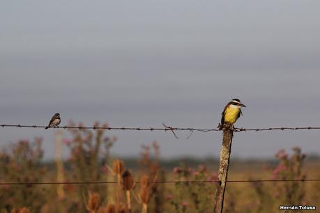 Primea salida de  2023