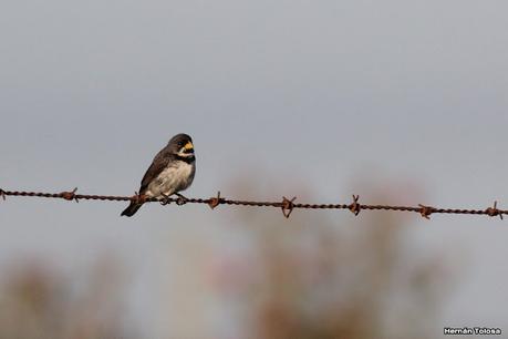 Primea salida de  2023