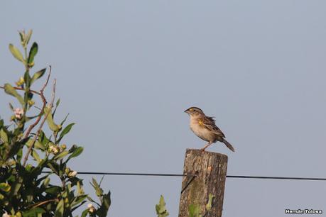 Primea salida de  2023