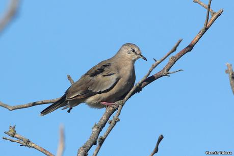 Primea salida de  2023