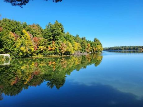 15 mejores cosas para hacer en Ludlow (Massachusetts) 15 mejores cosas para hacer en Ludlow (Massachusetts)