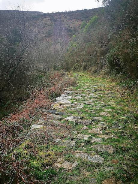 Circular al Aguión (Techo de Salas)