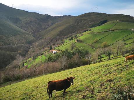 Circular al Aguión (Techo de Salas)