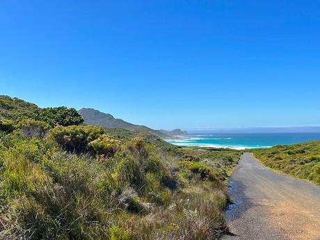 carretera dentro del Cabo de Buena Esperanza , Sudáfrica