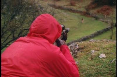 AUTOPSIA DE UN ASESINATO (DIAGNOSIS: ASESINATO) (DIAGNOSIS: MURDER) (Gran Bretaña, 1974) Policíaco, Intriga, Suspense AUTOPSIA DE UN ASESINATO (DIAGNOSIS: ASESINATO) (DIAGNOSIS: MURDER) (Gran Bretaña, 1974) Policíaco, Intriga, Suspense