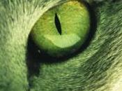 Kafka orilla- Haruki Murakami