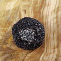 La trufa en Aragón - Trufa Negra 2 La trufa en Aragón - Trufa Negra 1