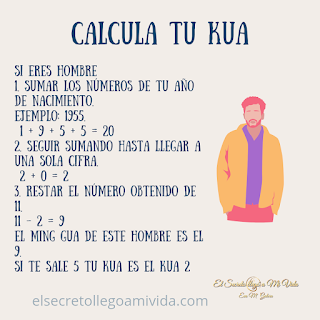 Consejos de Feng Shui para el negocio y crear abundancia