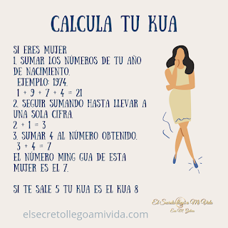Consejos de Feng Shui para el negocio y crear abundancia