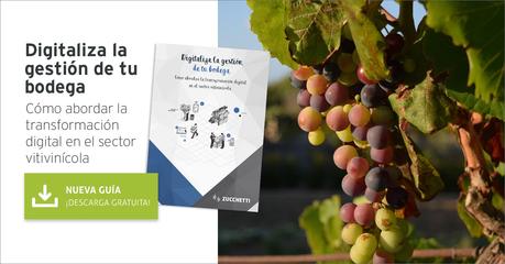 La transformación digital, una necesidad imperiosa en el sector vitivinícola