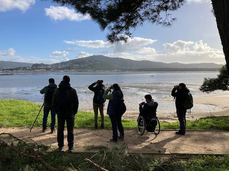 'As aves do inverno II', nueva cita con la ornitología en el estuario del Miño (15.01.2023) 'As aves do inverno II', nueva cita con la ornitología en el estuario del Miño (15.01.2023)
