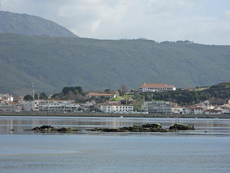 'As aves do inverno II', nueva cita con la ornitología en el estuario del Miño (15.01.2023) 'As aves do inverno II', nueva cita con la ornitología en el estuario del Miño (15.01.2023)