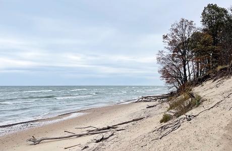 11 cosas mejor valoradas para hacer en South Haven, MI