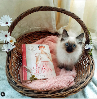 Visto en las redes 52#