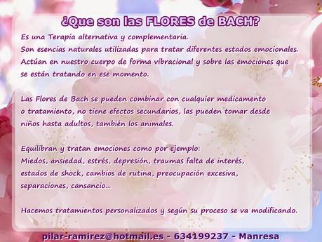 ¿Que son las Flores de Bach?