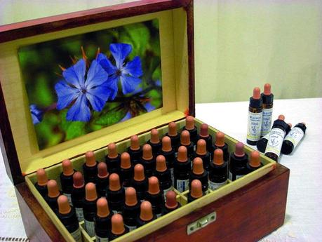 Flores de Bach Flores de Bach