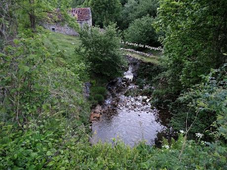 El Texu-Pandébano-La Cabecina Quemada (Peña Maín)-La Jelguera-La Trenosa