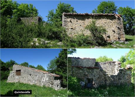 El Texu-Pandébano-La Cabecina Quemada (Peña Maín)-La Jelguera-La Trenosa