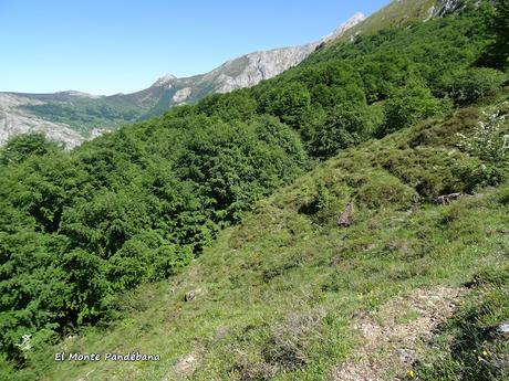 El Texu-Pandébano-La Cabecina Quemada (Peña Maín)-La Jelguera-La Trenosa