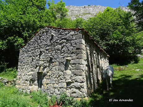 El Texu-Pandébano-La Cabecina Quemada (Peña Maín)-La Jelguera-La Trenosa