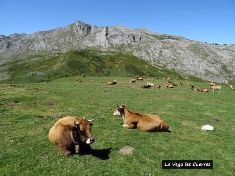 El Texu-Pandébano-La Cabecina Quemada (Peña Maín)-La Jelguera-La Trenosa