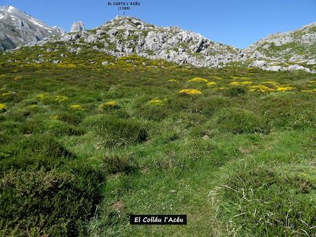 El Texu-Pandébano-La Cabecina Quemada (Peña Maín)-La Jelguera-La Trenosa