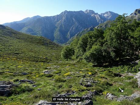 El Texu-Pandébano-La Cabecina Quemada (Peña Maín)-La Jelguera-La Trenosa