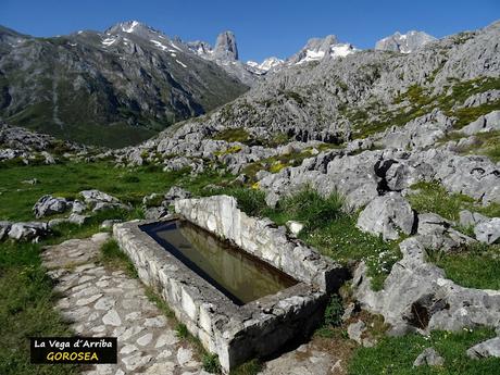 El Texu-Pandébano-La Cabecina Quemada (Peña Maín)-La Jelguera-La Trenosa