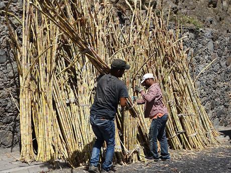 CABO VERDE : EL VALLE DE PAUL EN ILHA SANTO ANTAO