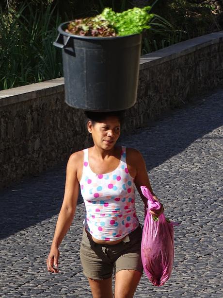 CABO VERDE : EL VALLE DE PAUL EN ILHA SANTO ANTAO