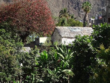 CABO VERDE : EL VALLE DE PAUL EN ILHA SANTO ANTAO