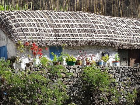 CABO VERDE : EL VALLE DE PAUL EN ILHA SANTO ANTAO