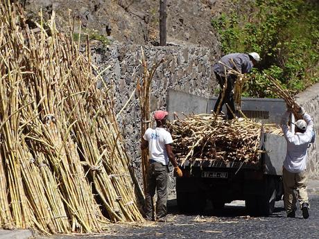 CABO VERDE : EL VALLE DE PAUL EN ILHA SANTO ANTAO