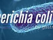 Escherichia coli Coli)