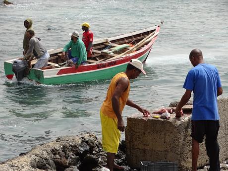 CABO VERDE : LOS PESCADORES DE LA ILHA DE SAO VICENTE CABO VERDE : LOS PESCADORES DE LA ILHA DE SAO VICENTE